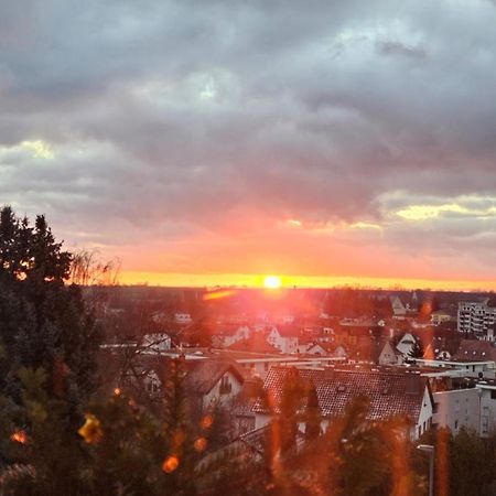 Appartement An Der Weinstrasse Bad Bergzabern Eksteriør bilde