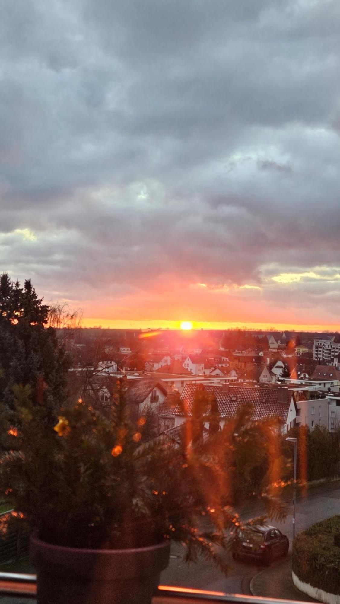 Appartement An Der Weinstrasse Bad Bergzabern Eksteriør bilde